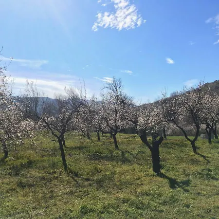Apartamento El Refugio De Mecina Mecina Fondales Esterno foto