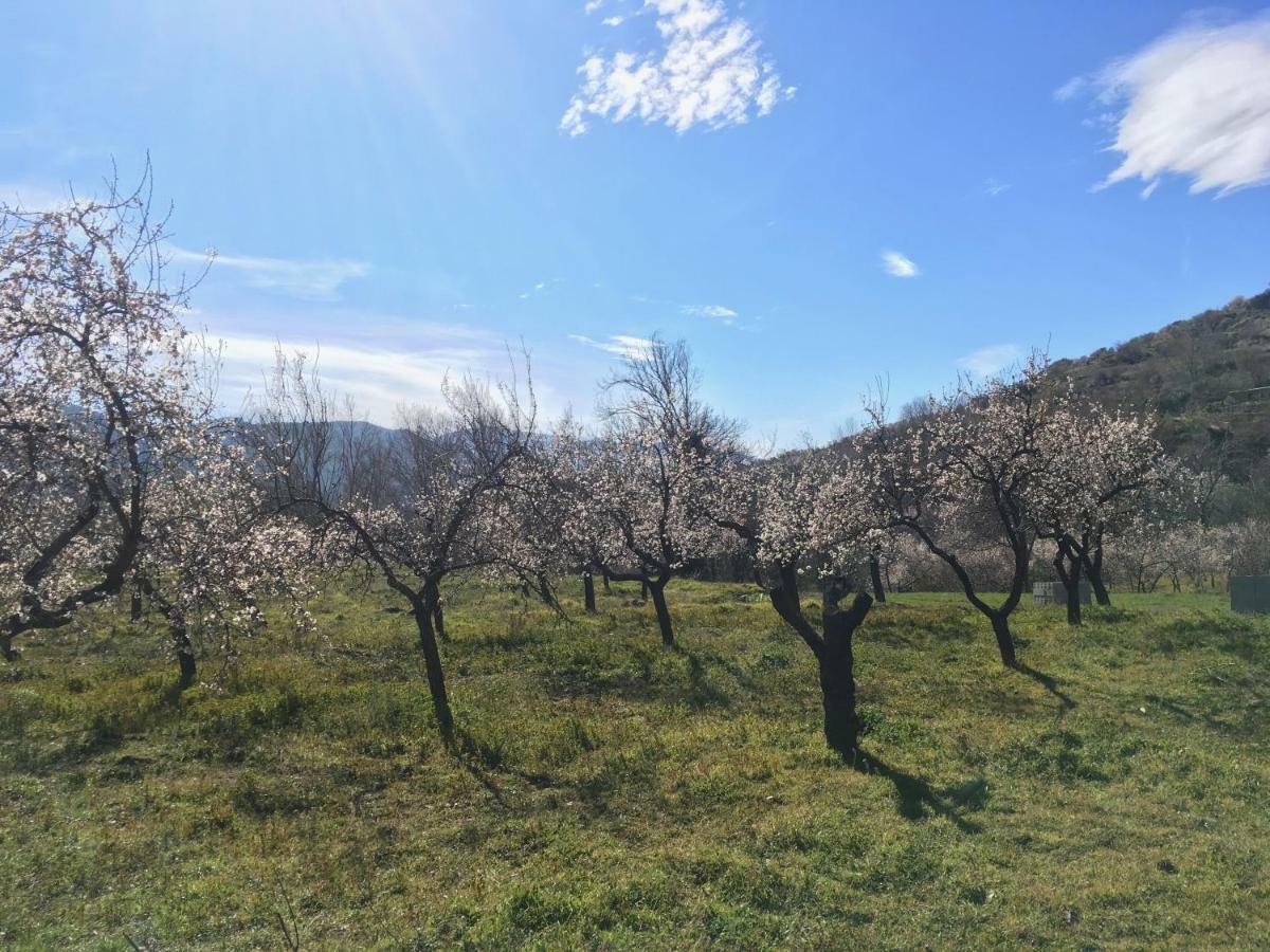El Refugio De Mecina Mecina Fondales